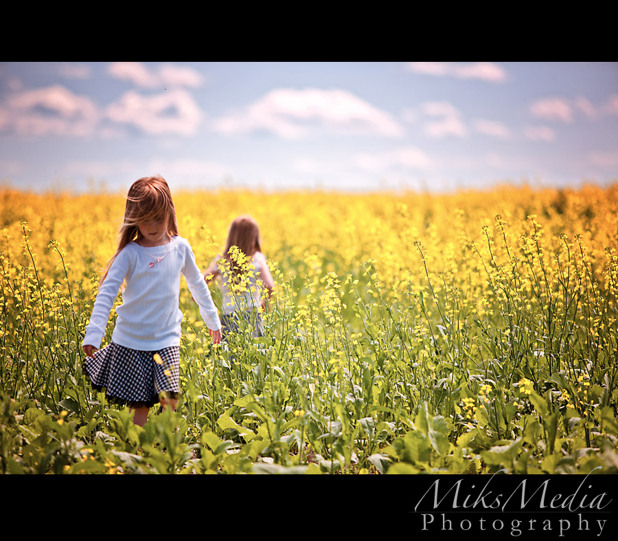 Playing on the farm – Part 1