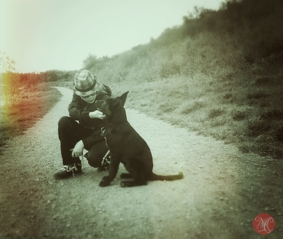 Lifestyle Photography: A boy and his dog