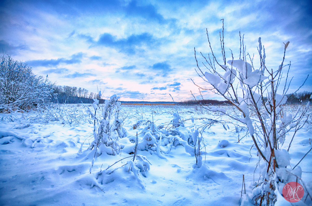 Winter Has Come to Elk Island – Landscape Photography and more..