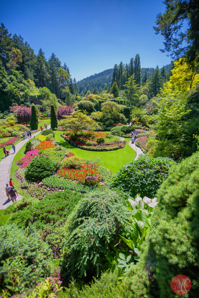 A Short Trip to Butchart Gardens in Victoria – Travel Photography