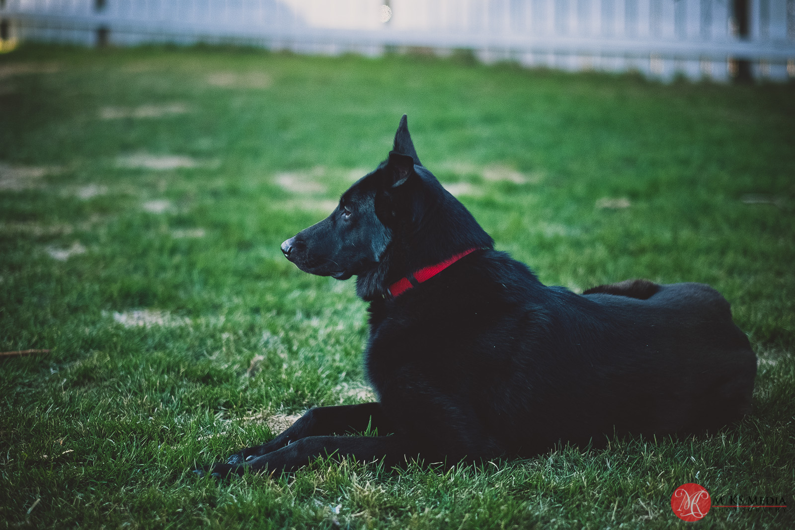 First pick-nick of the year – testing Fuji 56mm f1.2