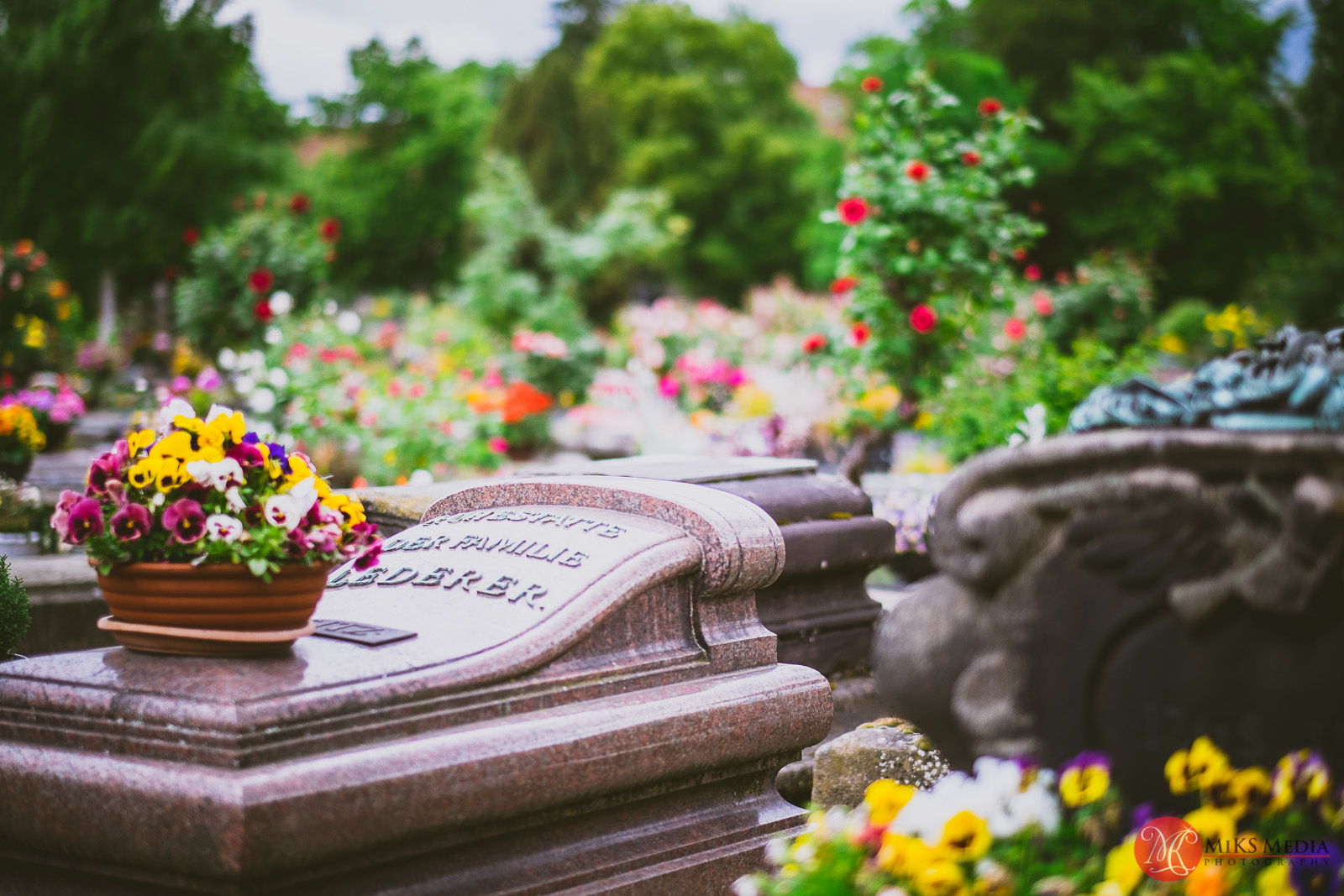 Fuji in Europe Part 17 – St. John’s Cemetery in Nuremberg