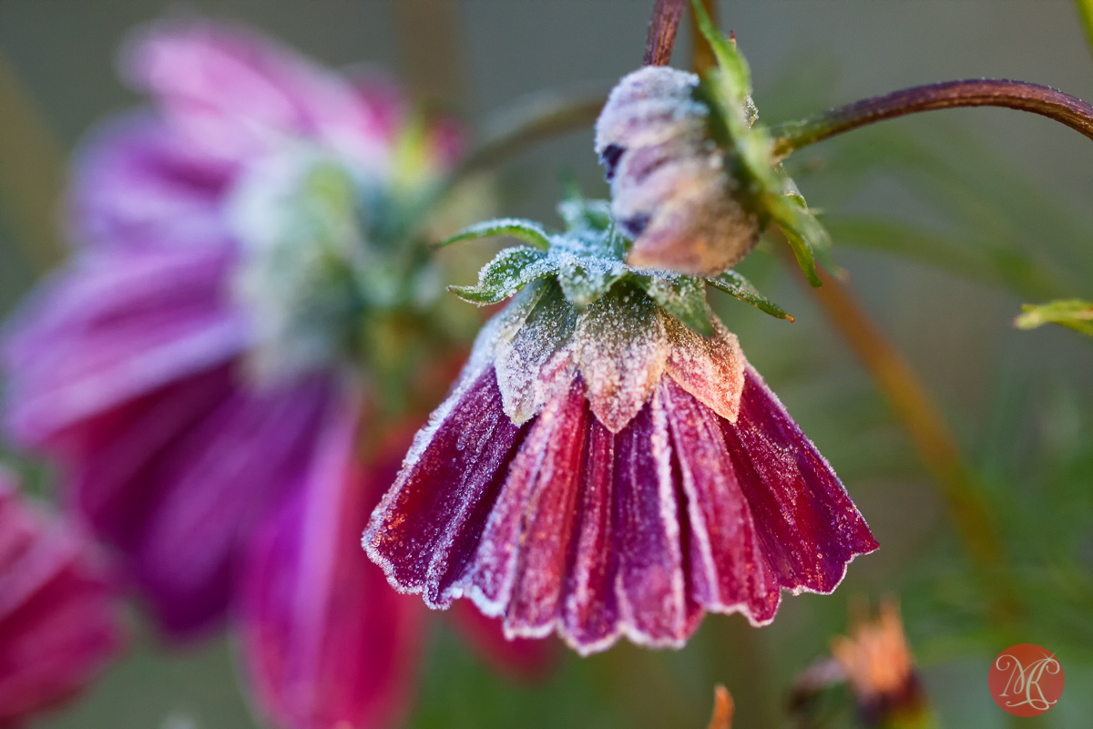 Fall In Details – Part 2