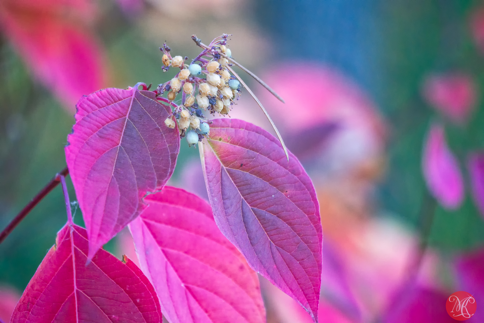 Fall In Details – Part 1