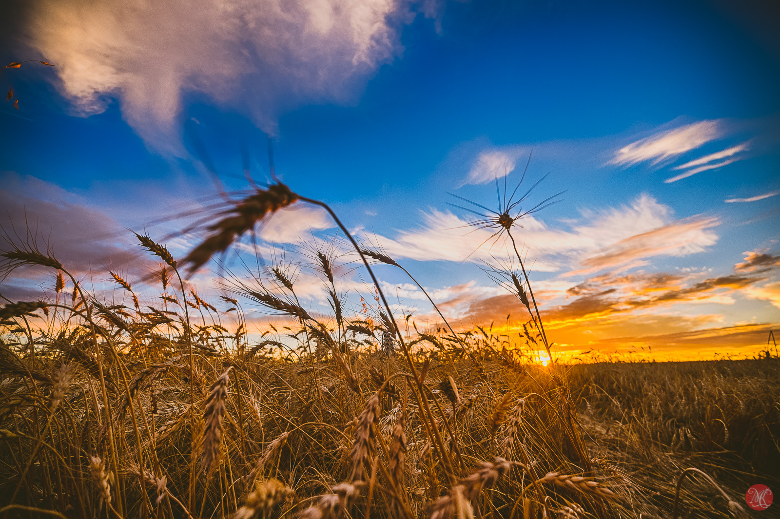 Harvest Sunset – Alberta Landscape photography