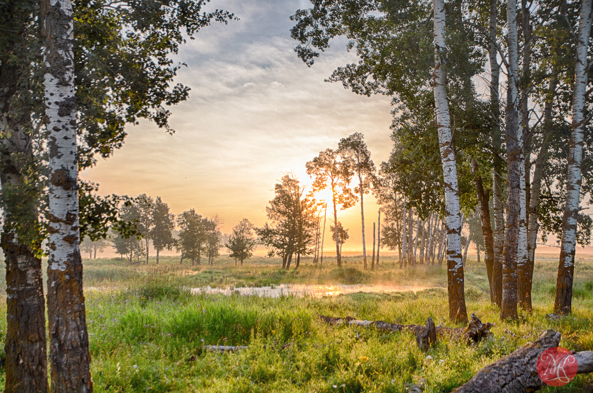 Elk Island – Four Seasons – Summer – Part 2