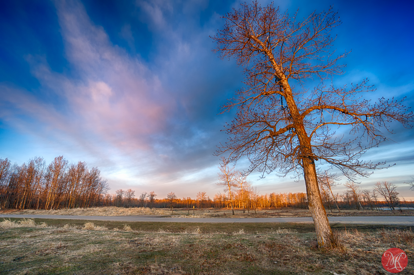 Beginning Of The Day At Elk Island – Landscape Photography And More..