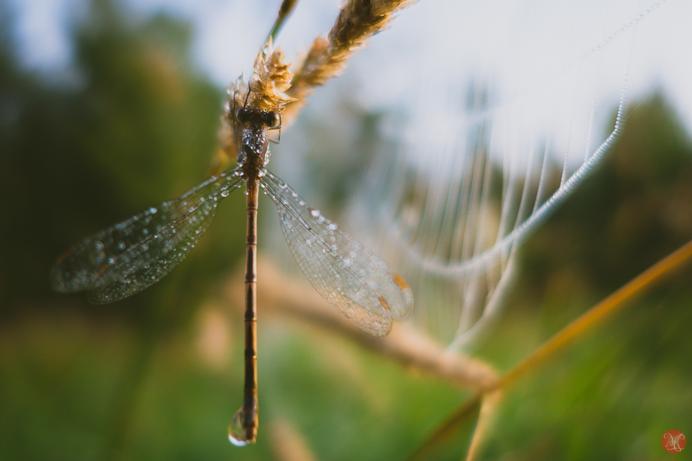 A year ago…  Photography Reflections.