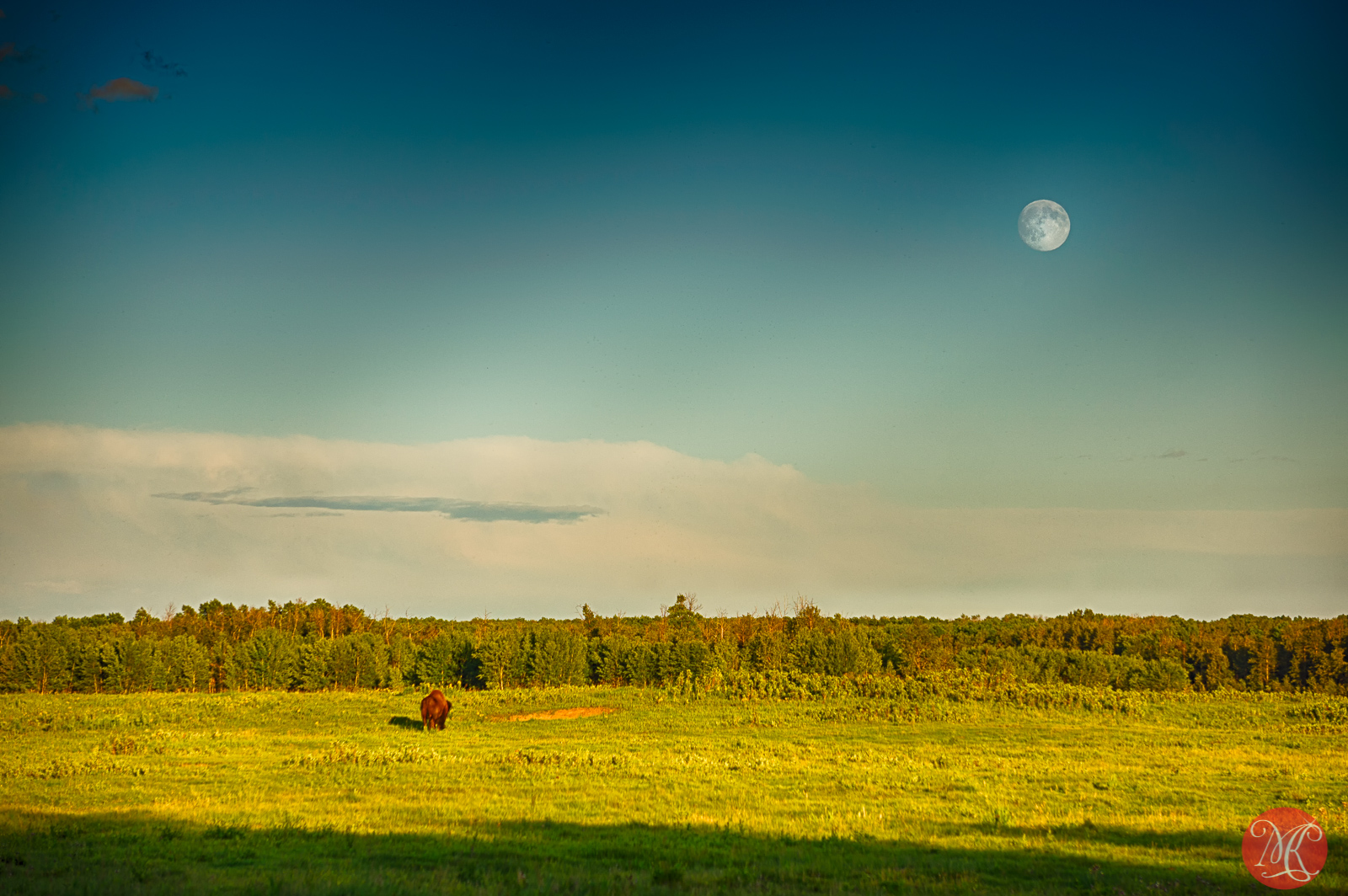 Elk Island Again – Landscape And Nature