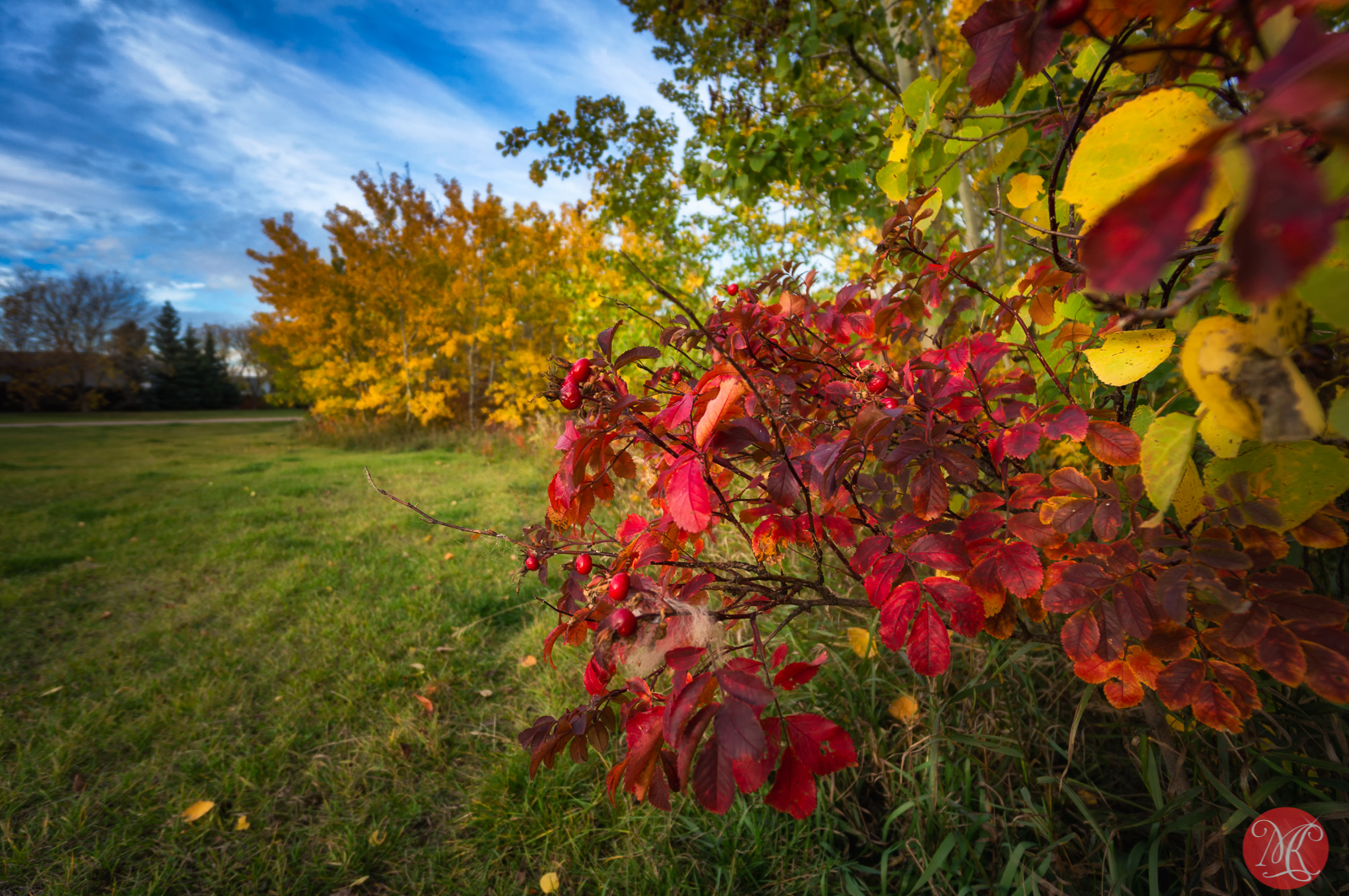 All Things Fall..