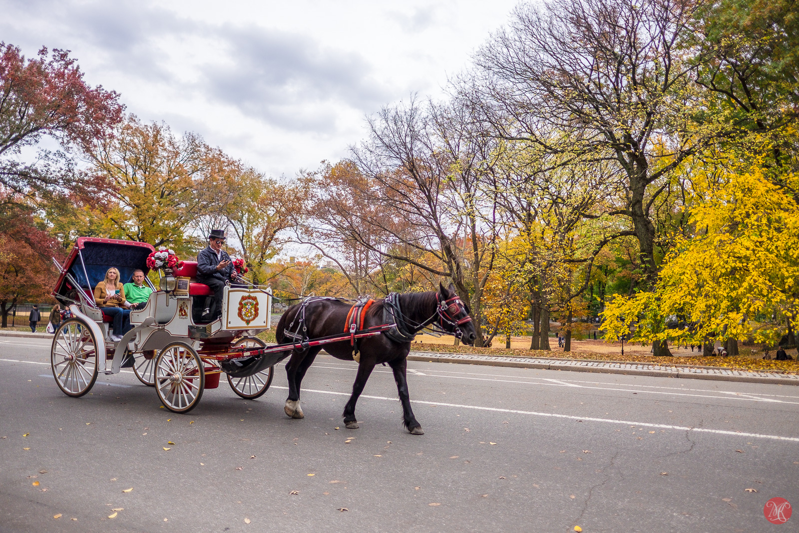 New York Part 2: Central Park