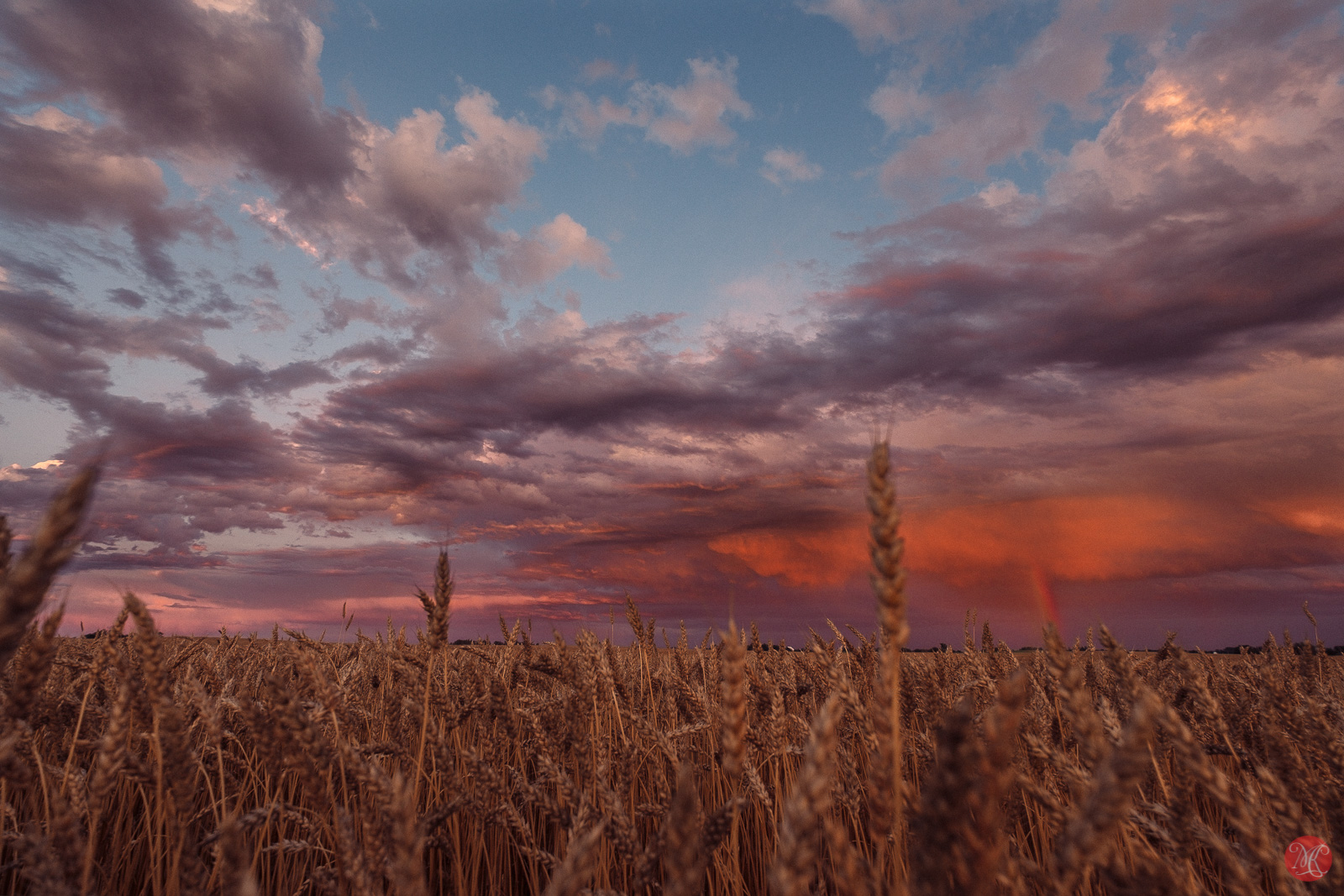 Summer Alberta Prairie Sunset