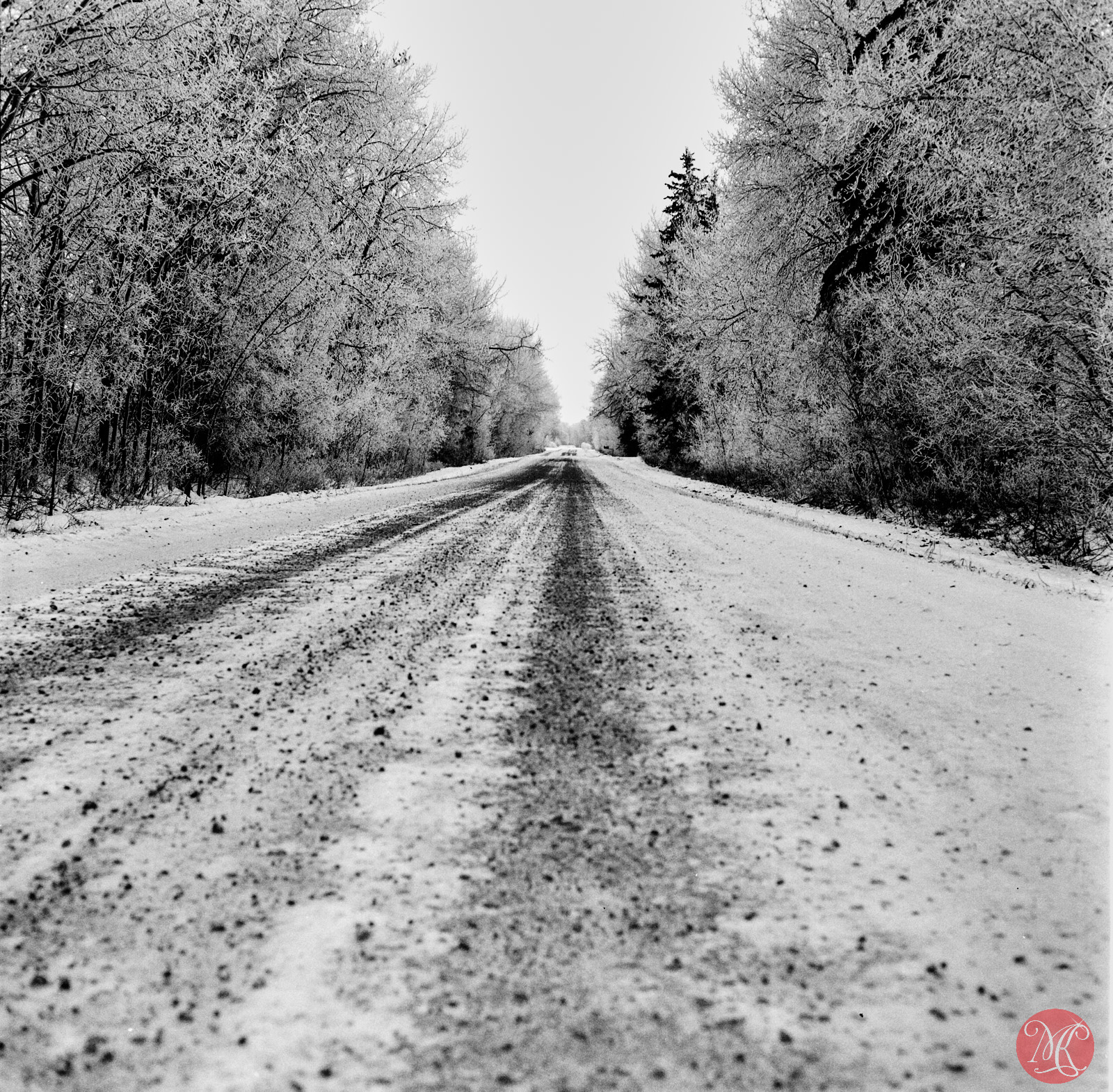 Winter on film