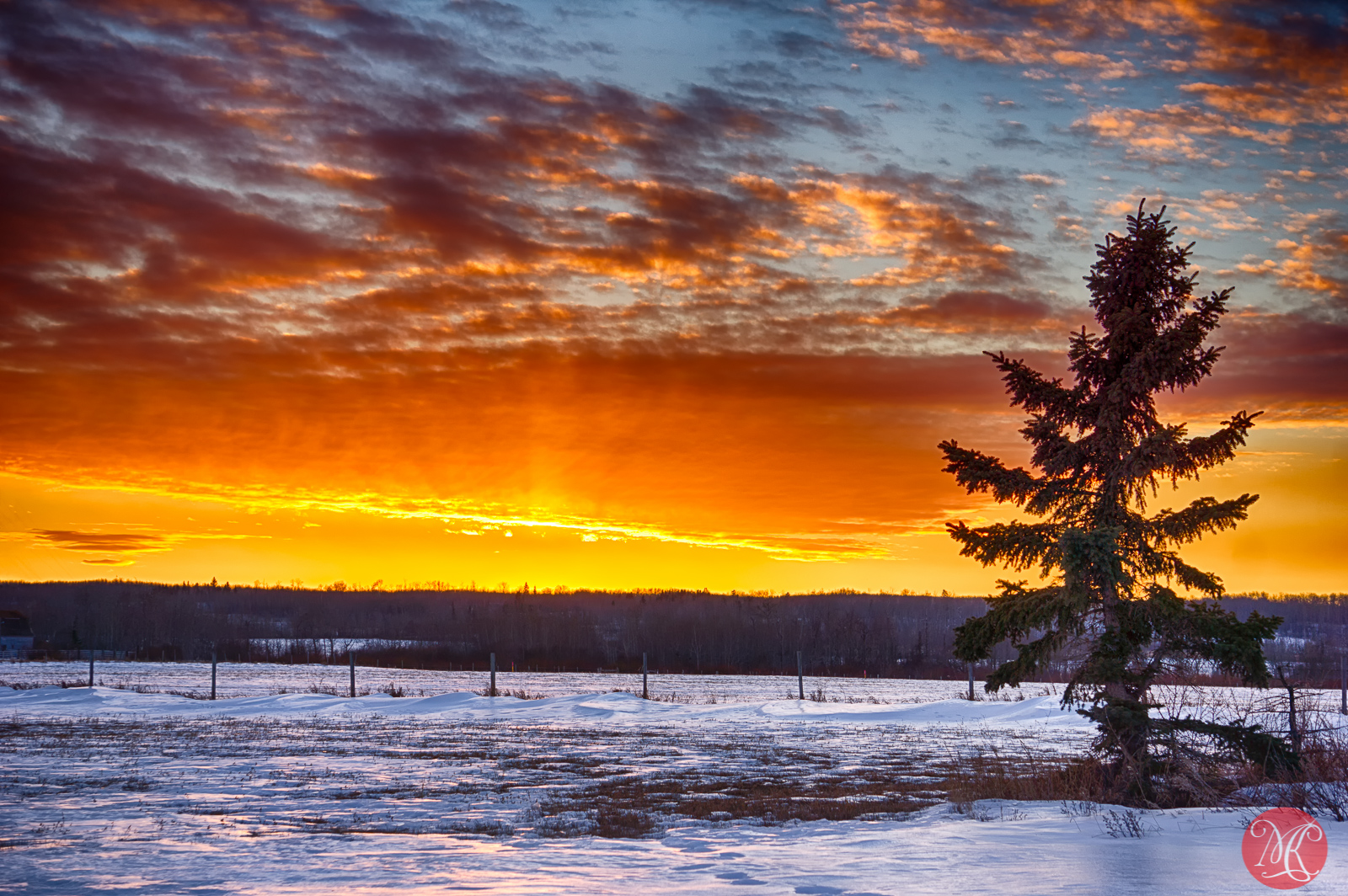 Winter Prairies – Alberta Landscape Photography