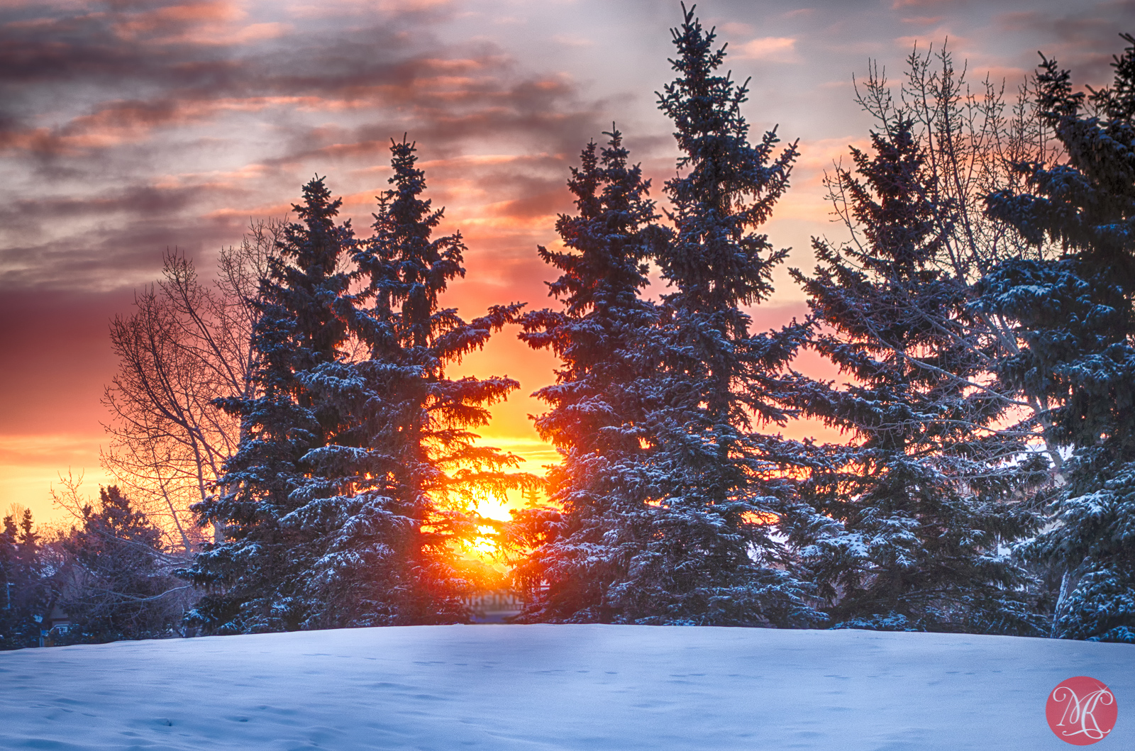 Winter Scenes 1