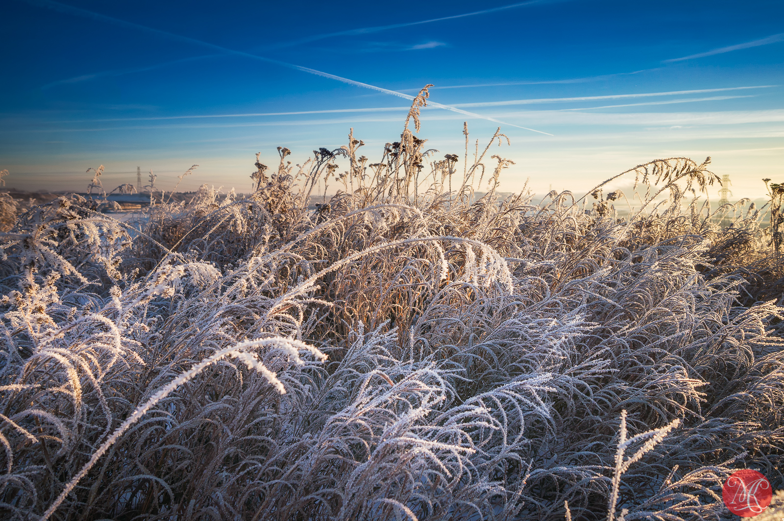 Frost, Frost And More Frost..