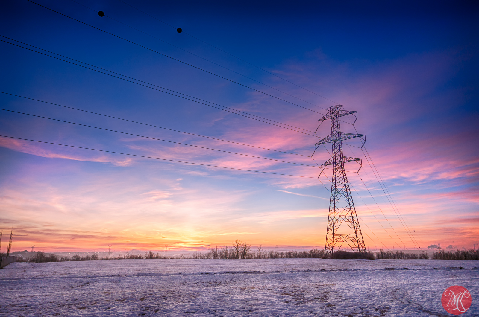 Winter Skies