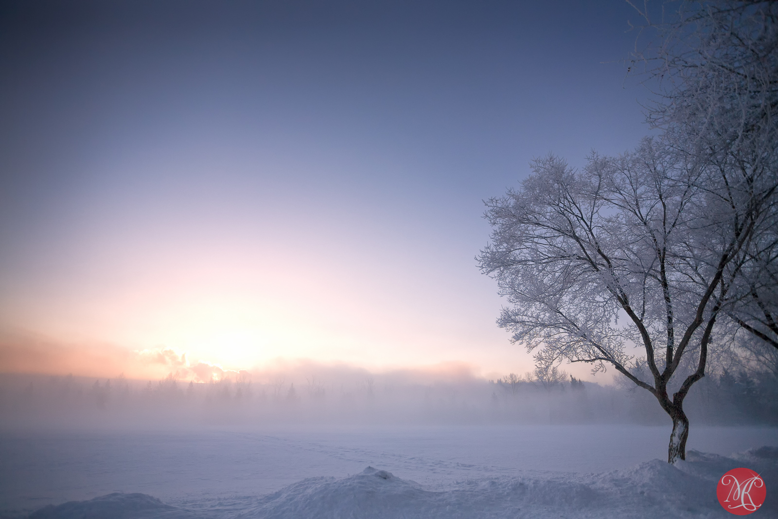 Winter Scenes 2
