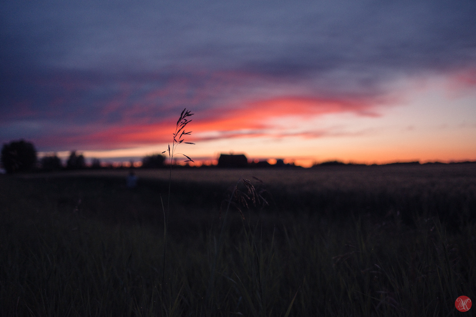 Memories of Summer Sunset, an experiment with Fuji