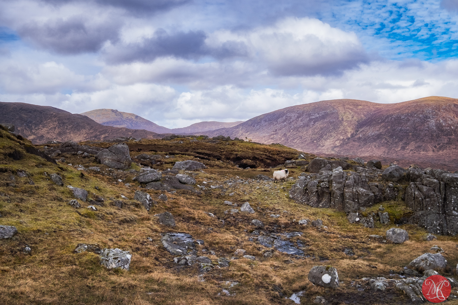 Harris and Lewis – Impressions
