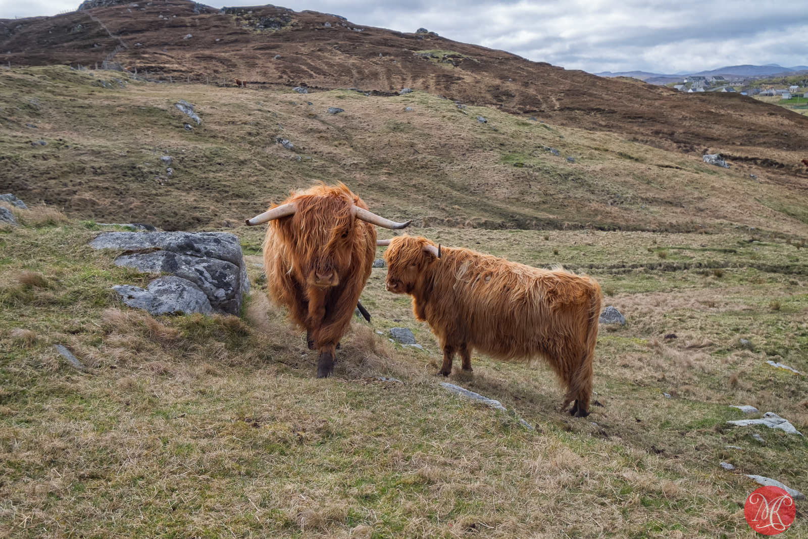 A Quick Photo Session – Scotland with Fuji