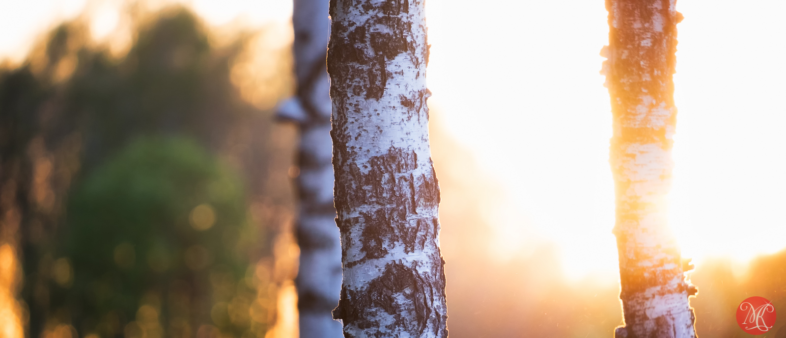 From Home – Poland With Fuji