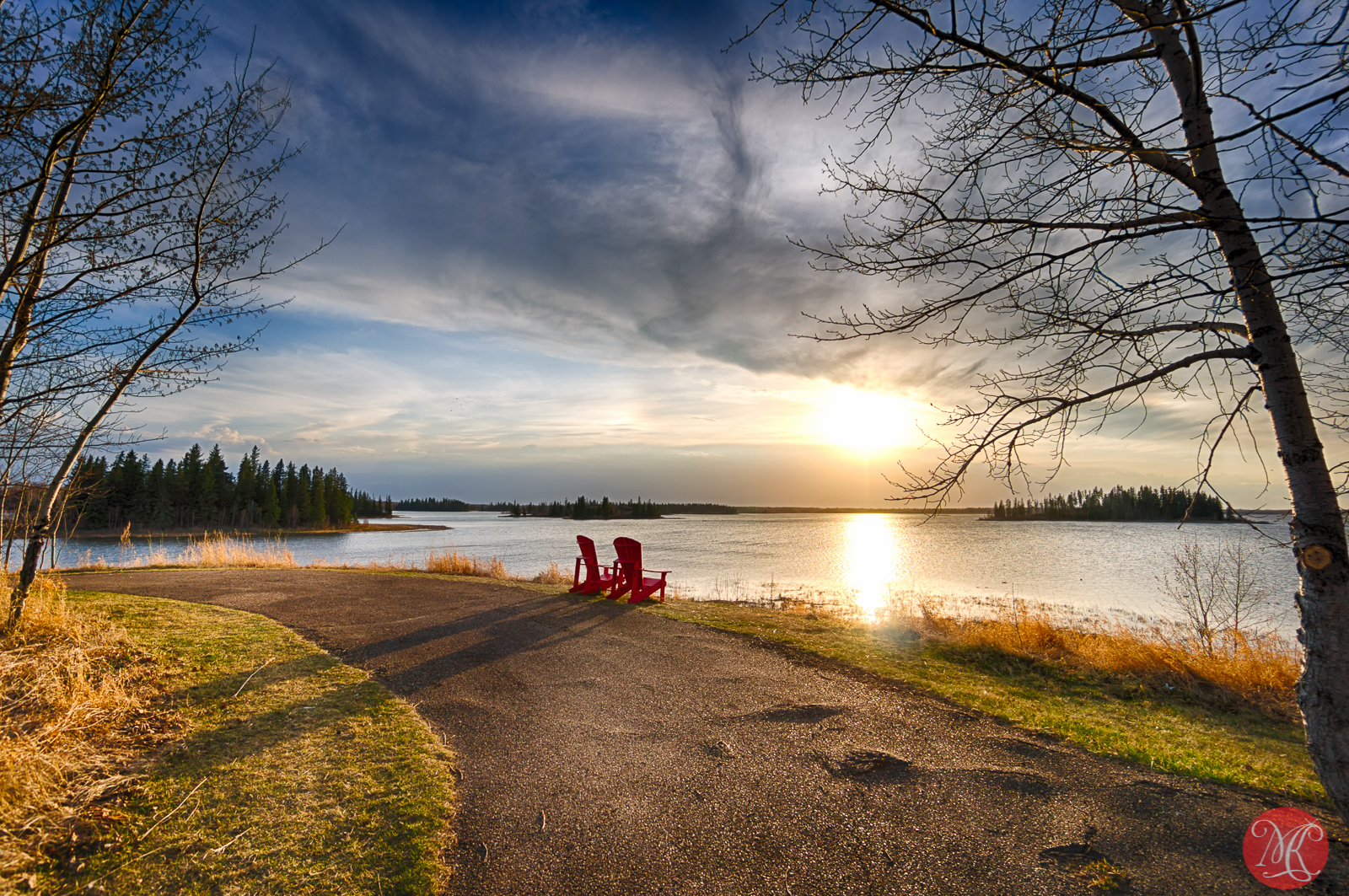 Nature Awakening – Spring at Elk Island