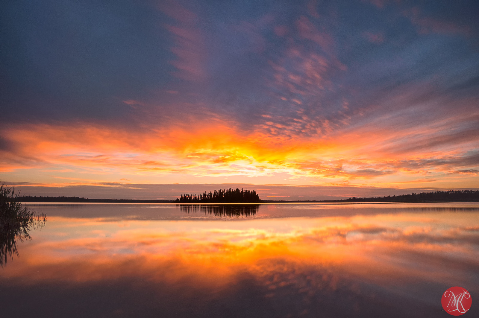 Visiting the Lake – Summer at Elk Island