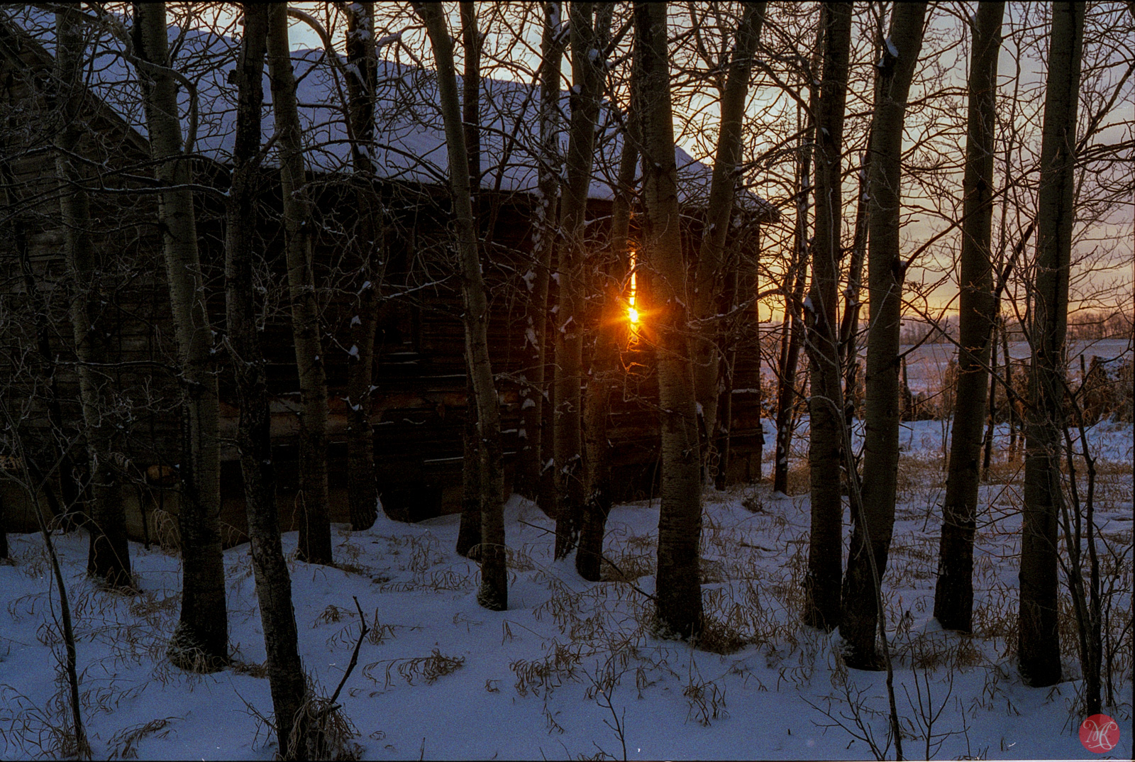 Winter adventures on film