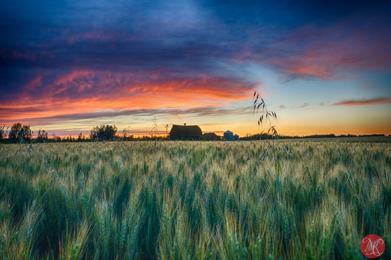 Summer on the Prairies – Part 2