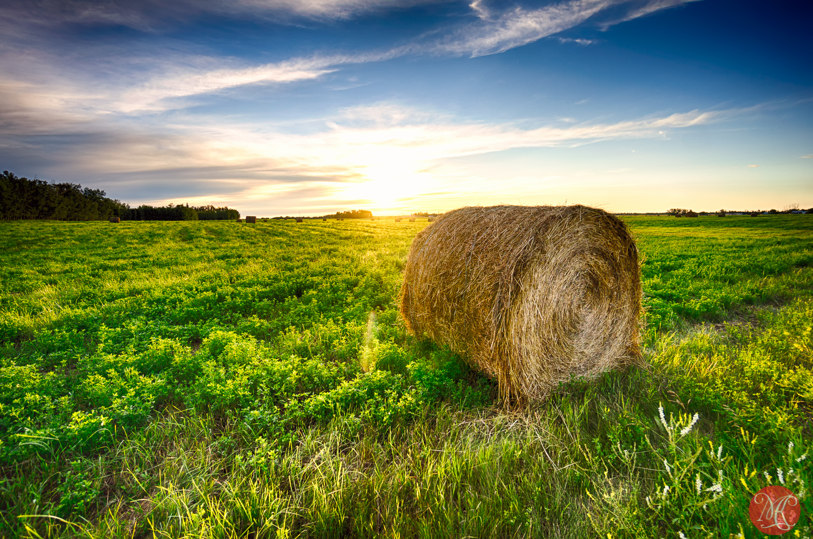 Summer on the Prairies – Part 1