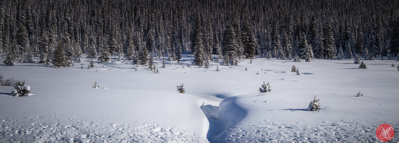 From Abraham Lake to Banff – a Short Winter Ride Through the Rockies