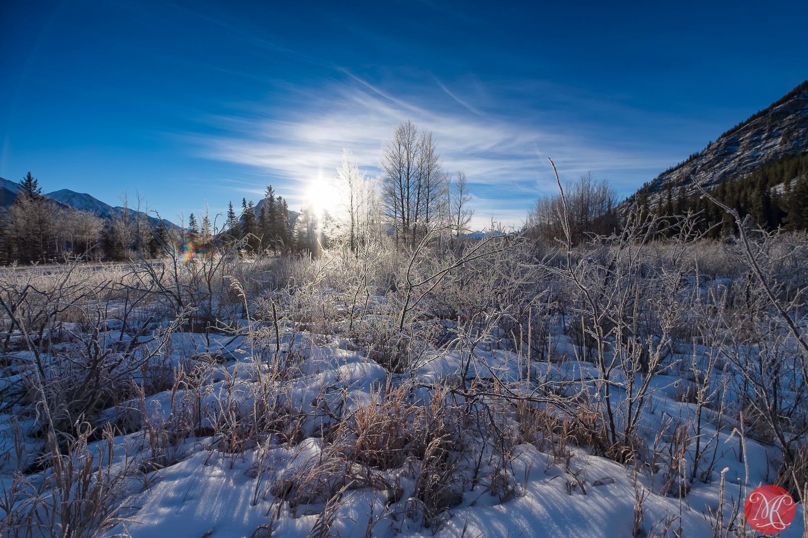 Brilliant Morning in the Rockies