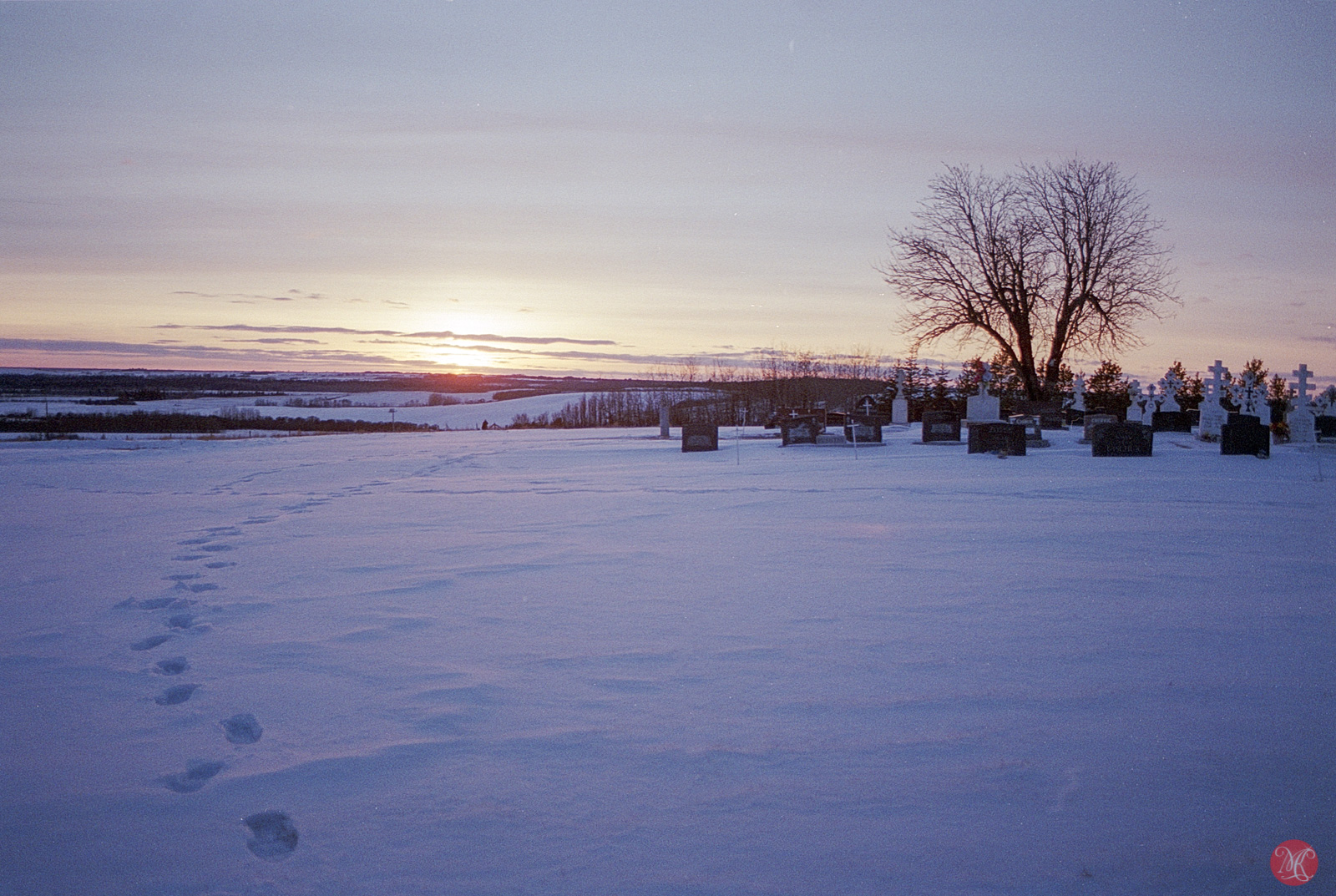 Alberta Country on Celuloid