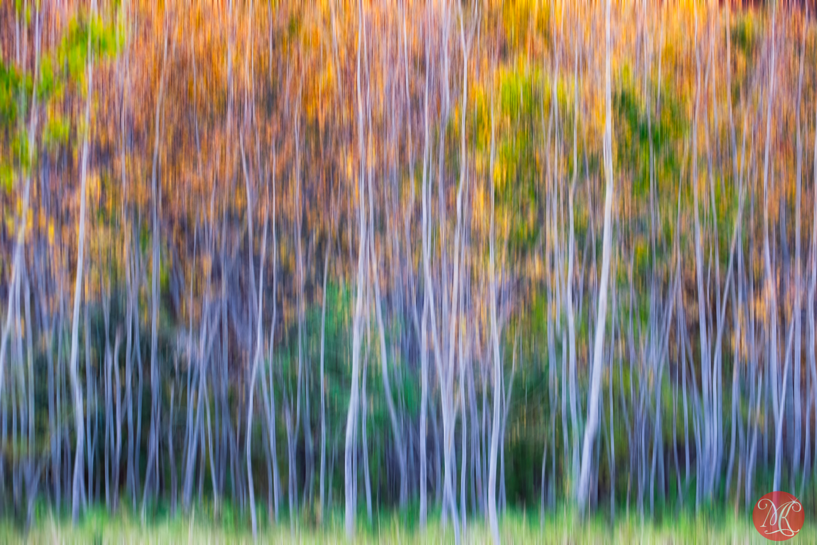 When Fall Comes Calling