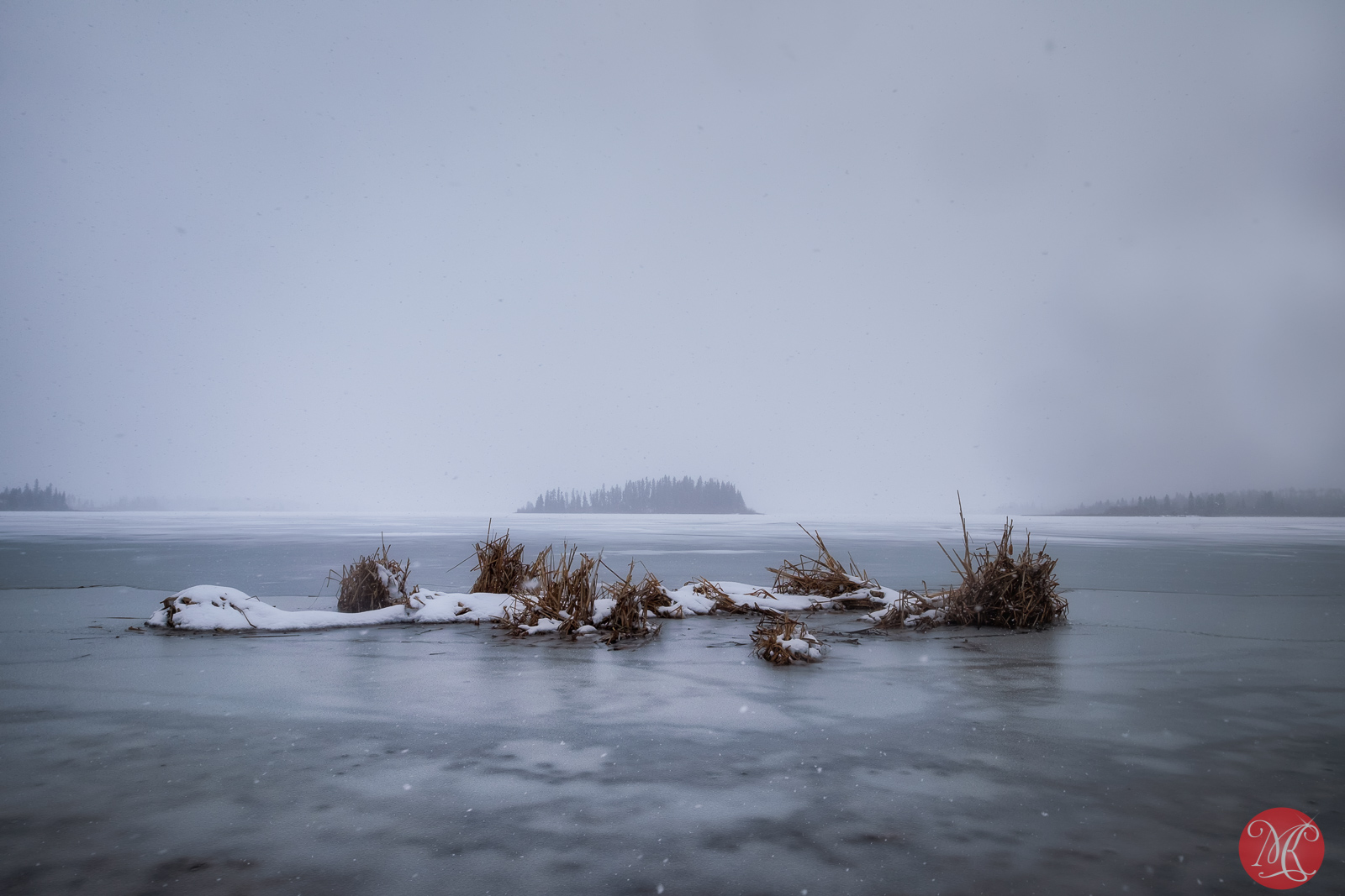 Early Spring At Elk Island