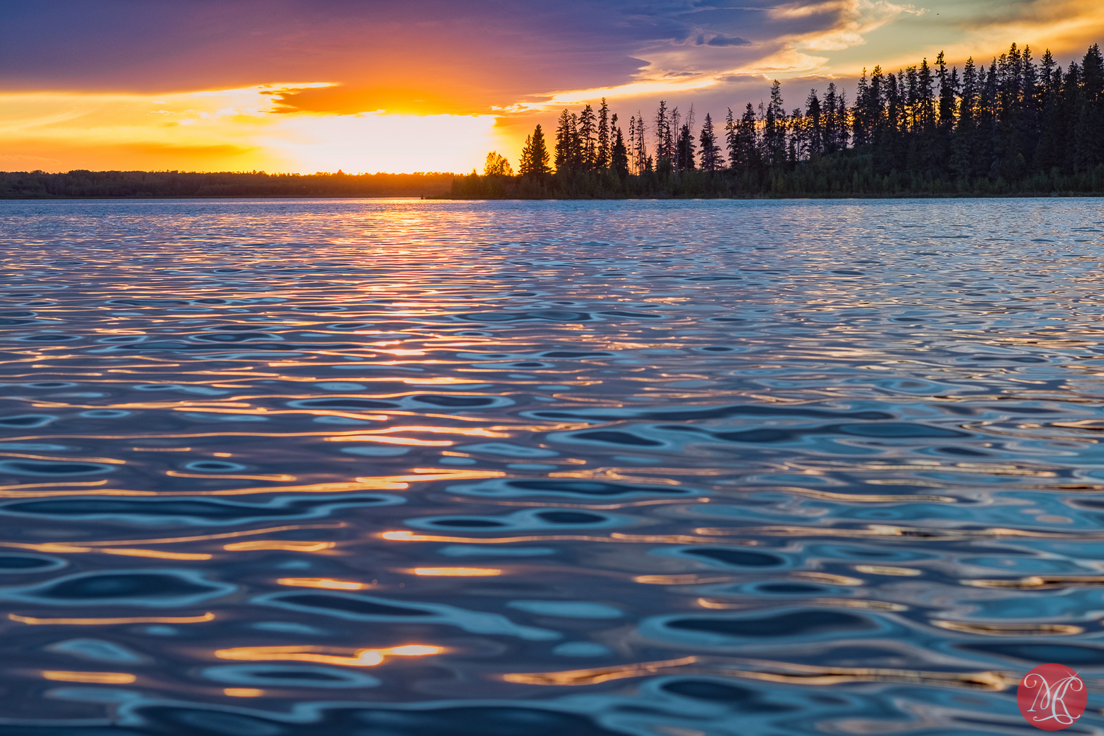 Elk Island – Summer Visits