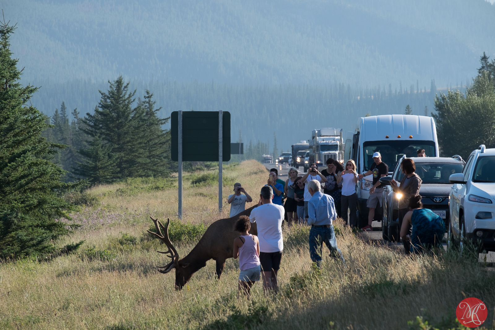 Summer Travel – Alberta Travel Photography