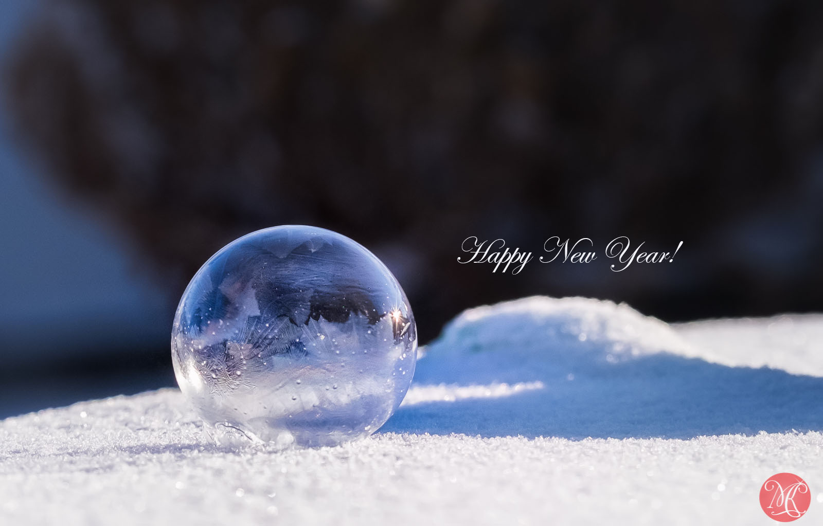 Happy New Year! (From Frozen Solid Alberta)