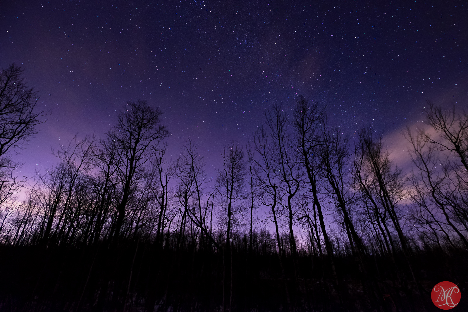 Elk Island At Night