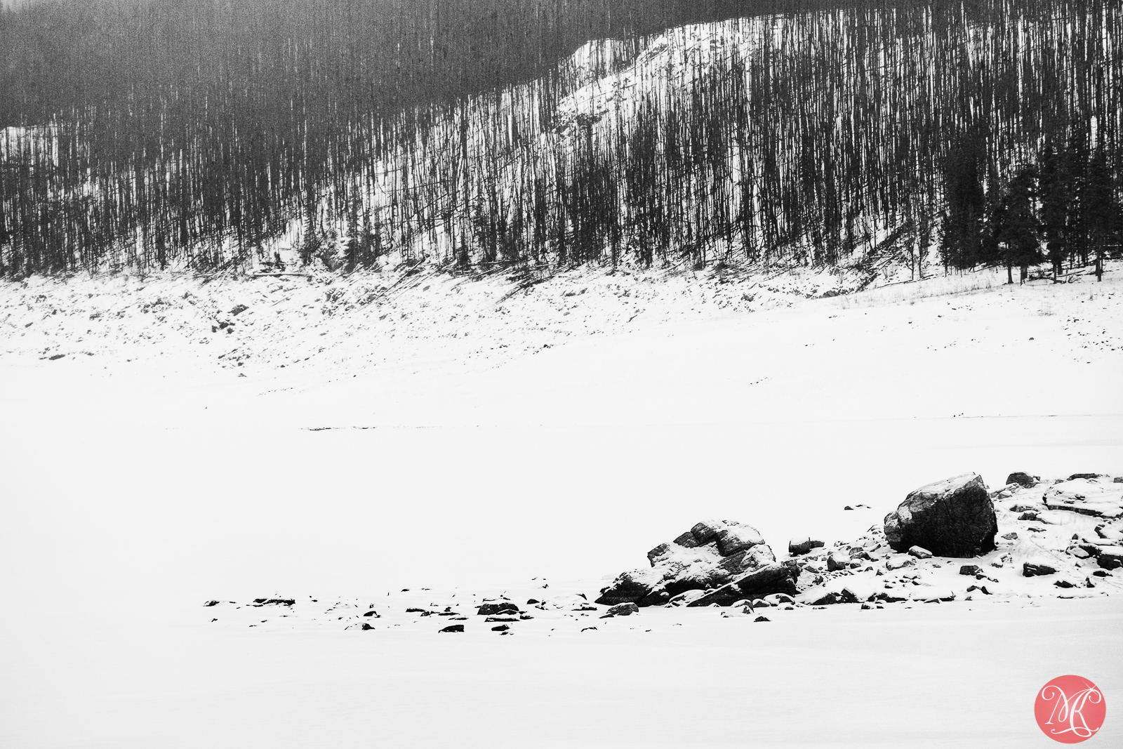 A Winter Visit to the Rockies