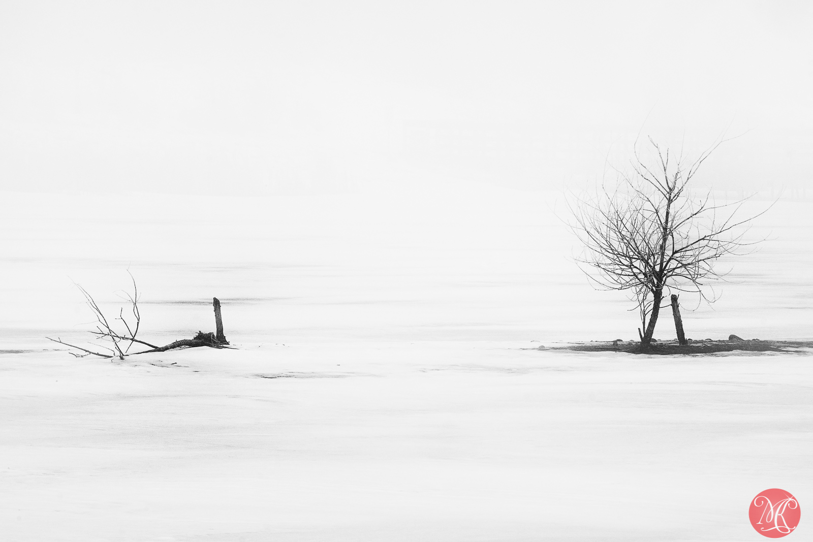 Moody Photography..
