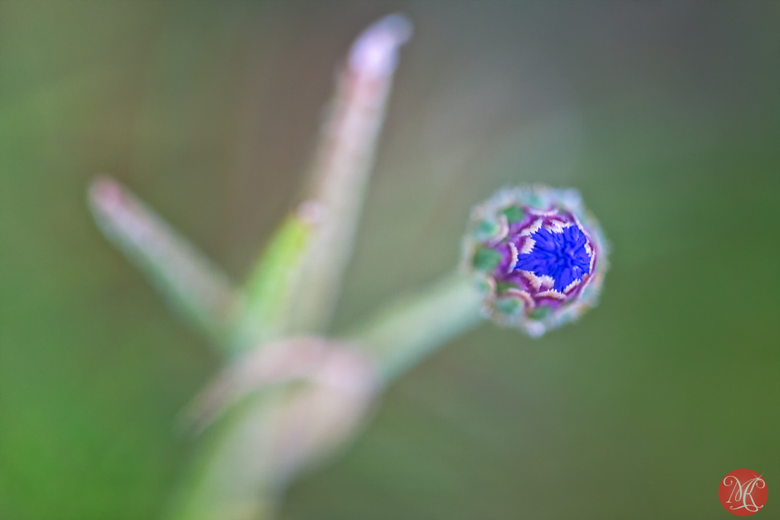 A Little Macro Never Hurt Anybody..