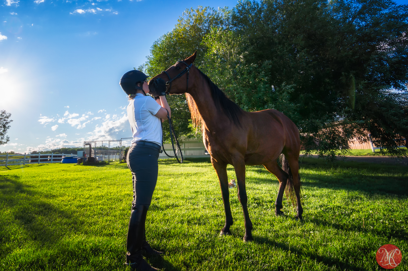 People and Horses