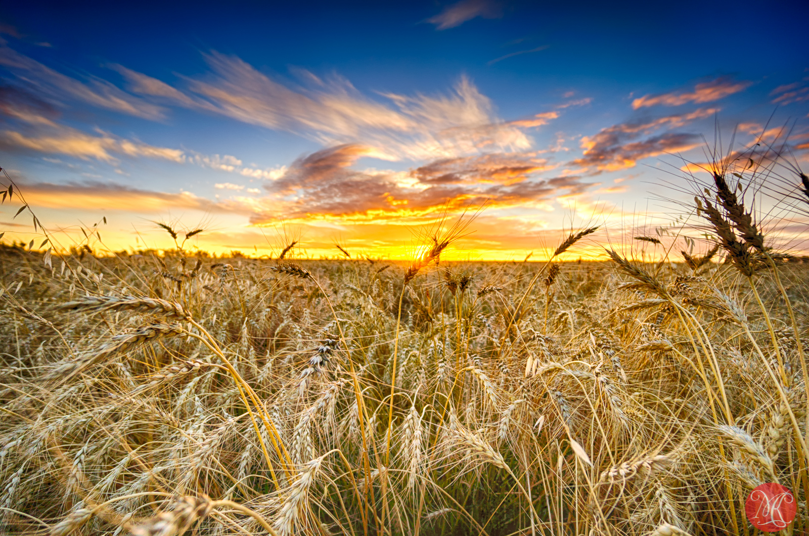 Memories of Harvest