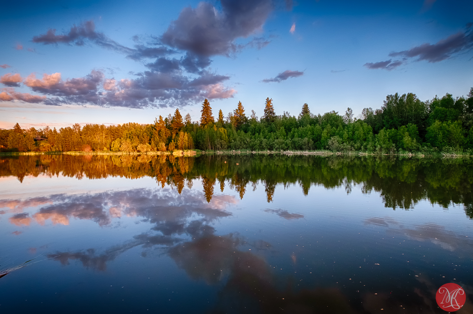 June at Elk Island