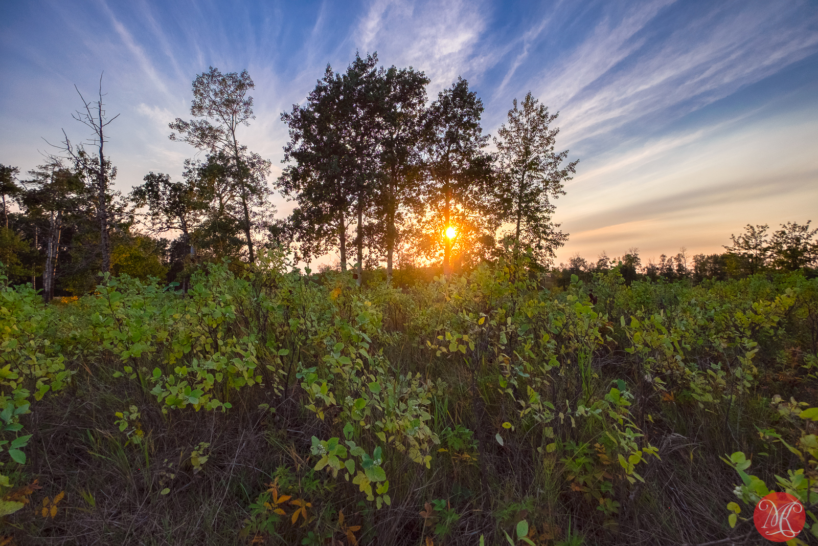 How This Fall Begun At Elk Island
