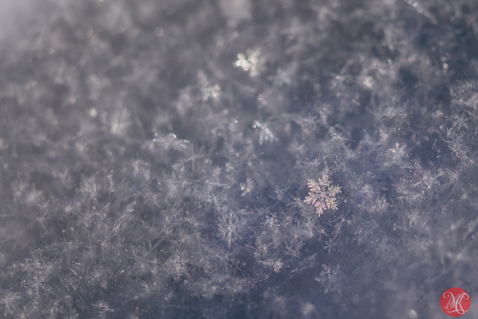 Snow..