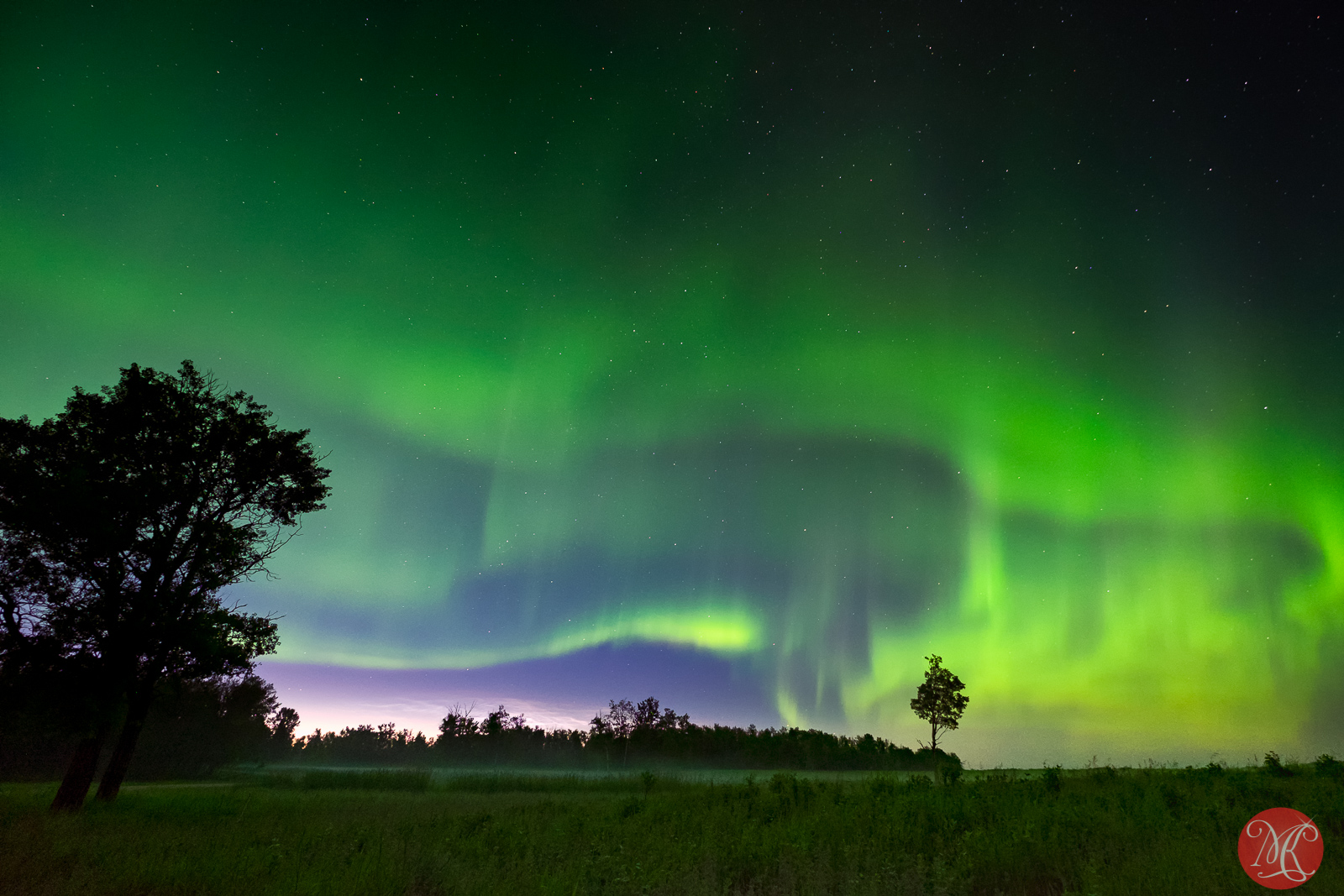 A Night at Elk Island