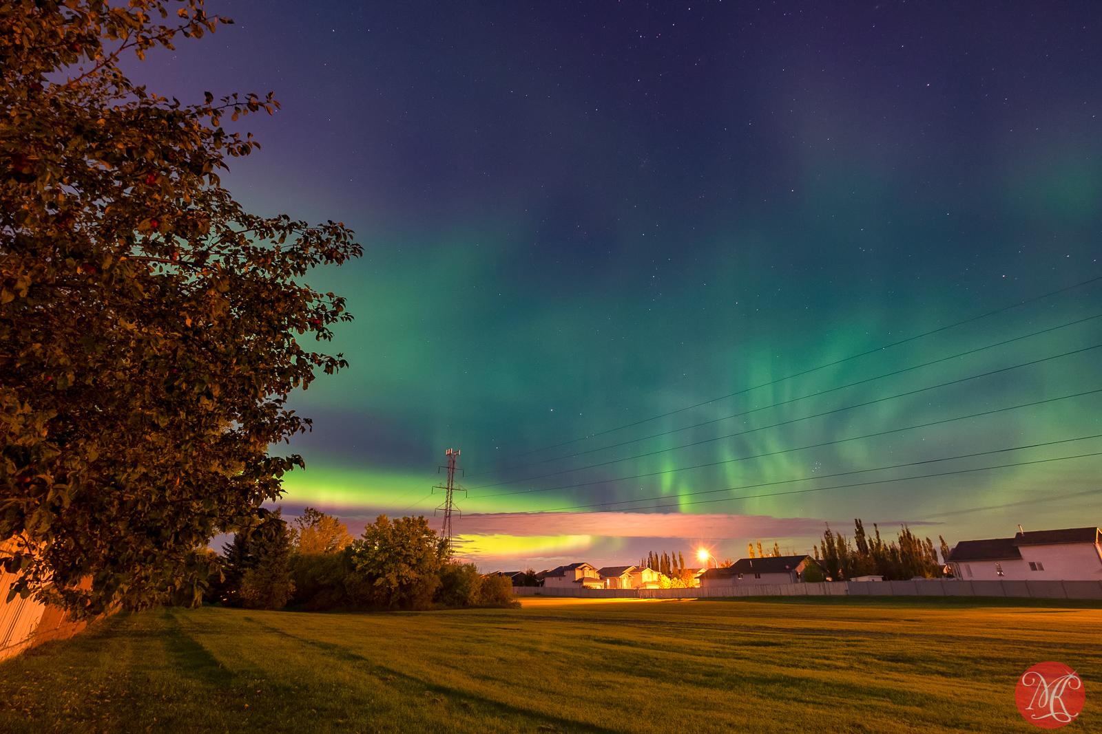 Aurora in the City